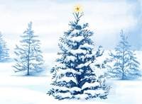 pic for Christmas Trees 1920x1408